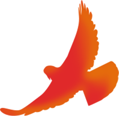 青春鹰牌 新创未来｜新风已至，驭势高飞，最好的时代就是现在！(图1)